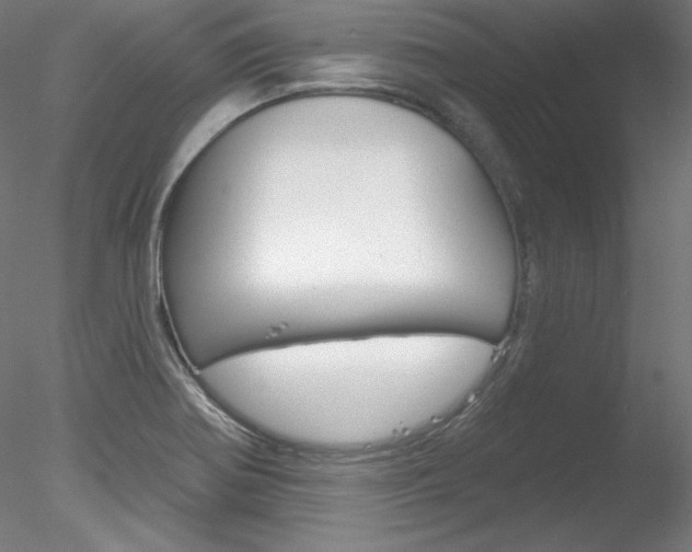 X0000078271370200611030939