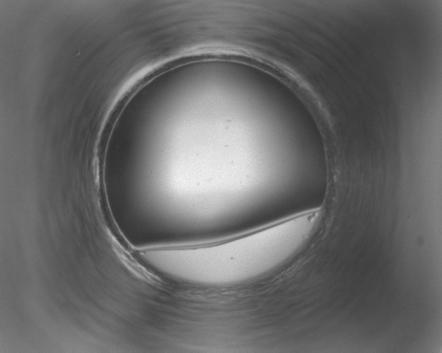 X0000078271372200611030939