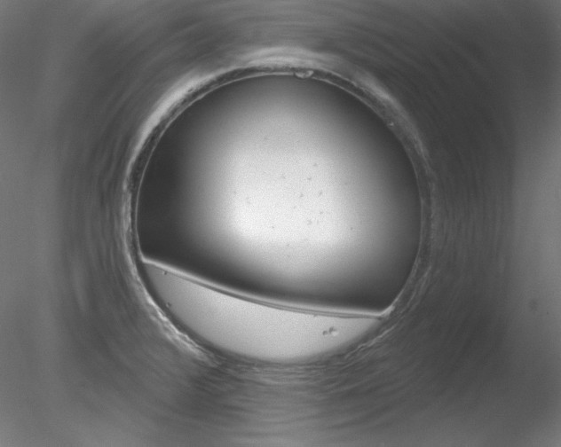 X0000078271376200611030939