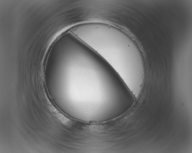 X0000078271380200611030939