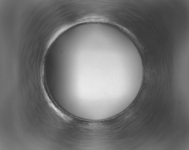 X0000078271383200611030939