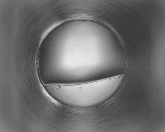 X0000078271387200611030939