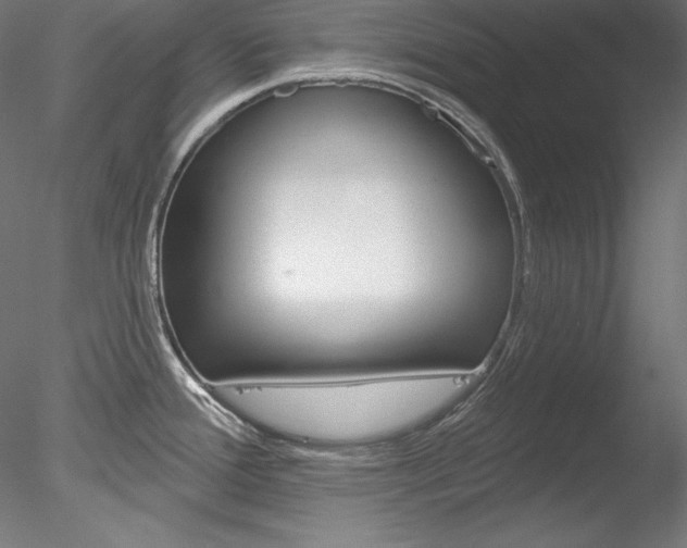 X0000078271388200611030939