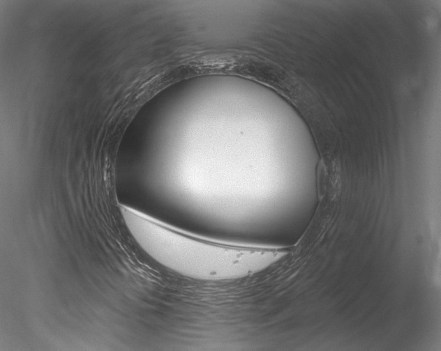 X0000078271394200611030938