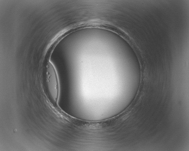 X0000078271410200611030939