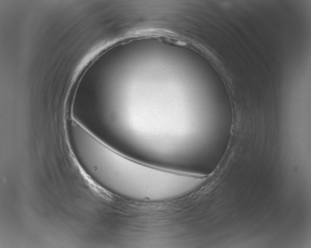 X0000078271430200611030939