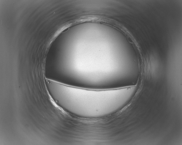X0000078271433200611030939