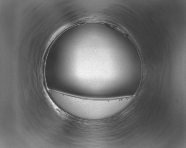 X0000078271434200611030939