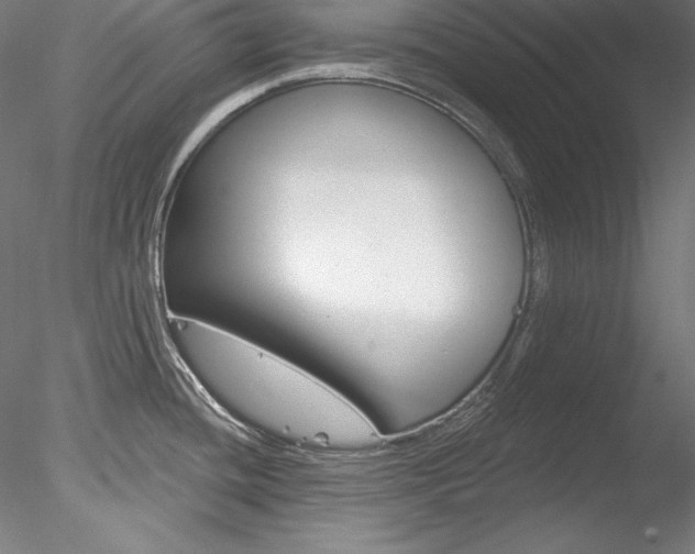 X0000078271436200611030939