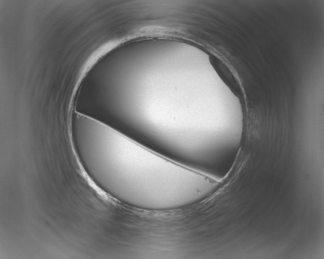 X0000078271437200611030939