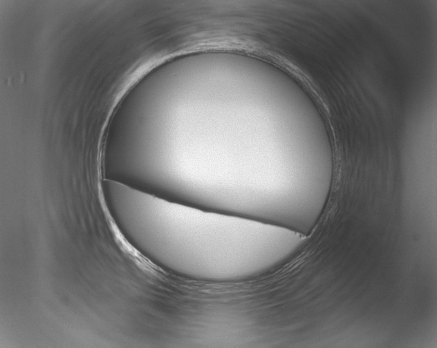 X0000078271439200611030939