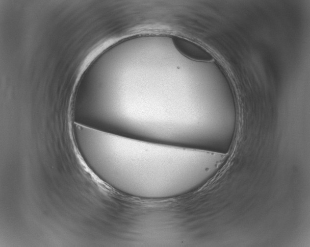 X0000078271440200611030939