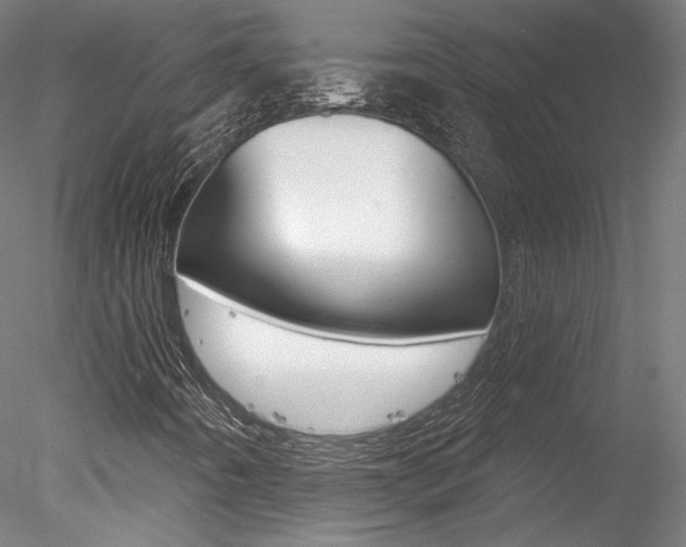 X0000078271442200611030938
