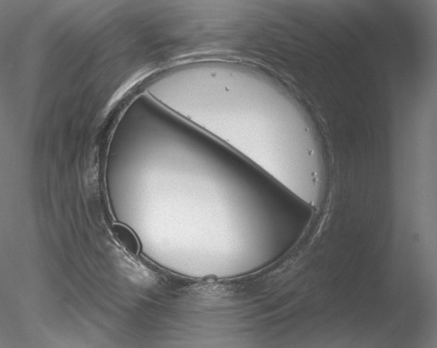 X0000078271450200611030938