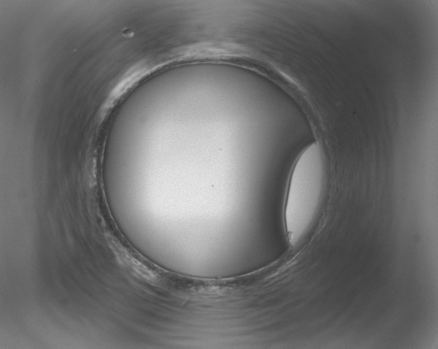 X0000078271459200611030938