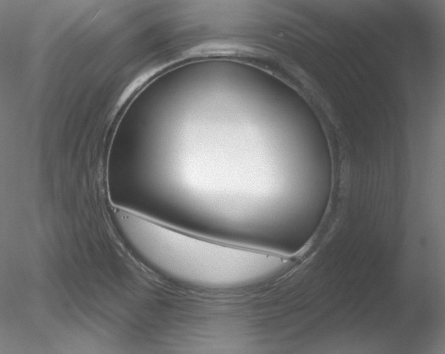 X0000078271465200611030938