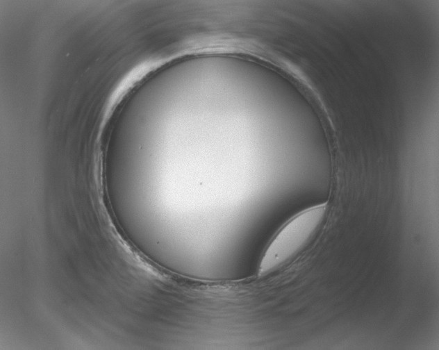 X0000078271472200611030938