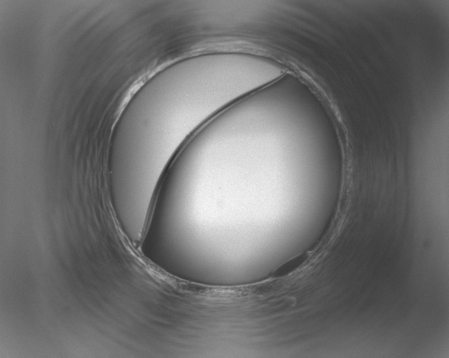 X0000078271481200611030938