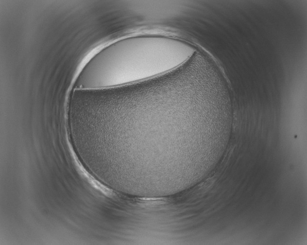X0000078271483200611030938