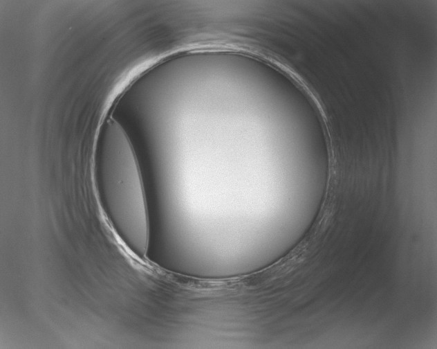 X0000078271485200611030937