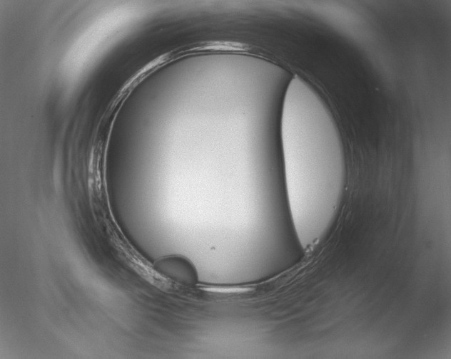 X0000078271487200611030937