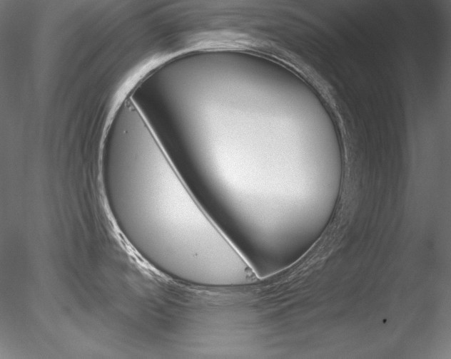 X0000078271488200611030937