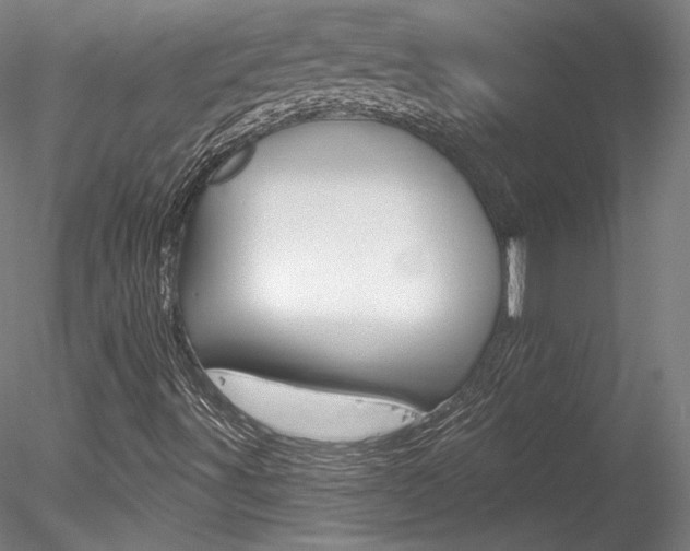 X0000078271491200611030937