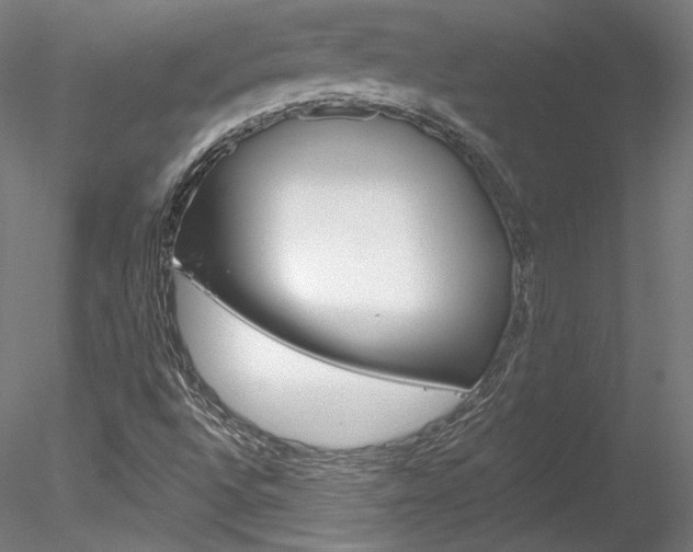 X0000078271496200611030937