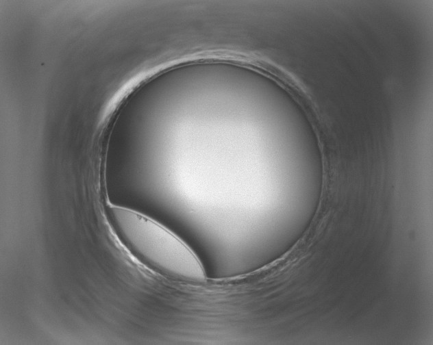X0000078271504200611030937