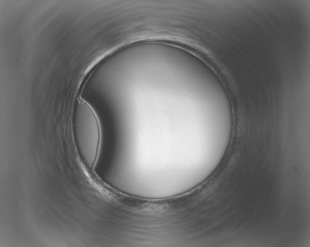 X0000078271513200611030937