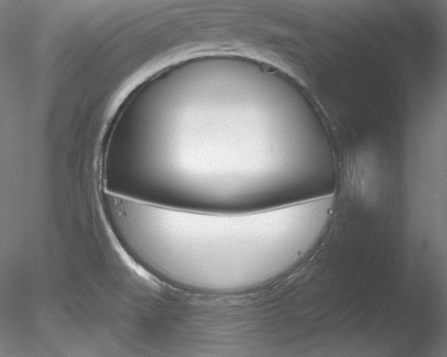 X0000078271519200611030937