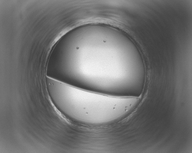 X0000078271521200611030937