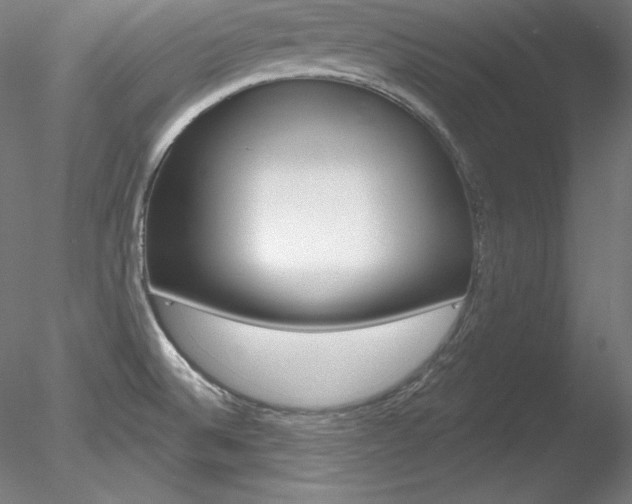 X0000078271524200611030937