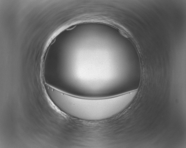 X0000078271528200611030937