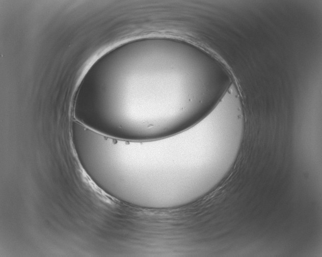 X0000078271532200611030937