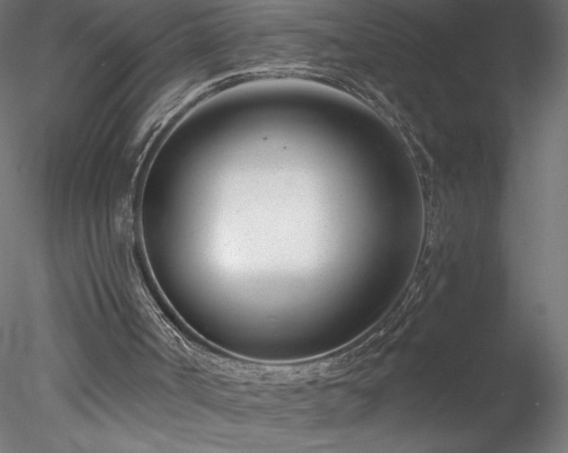 X0000078270002200611031154