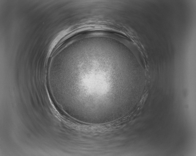 X0000078270003200611031154