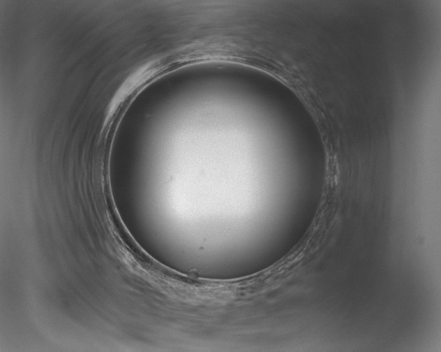 X0000078270004200611031154