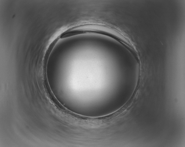 X0000078270008200611031154