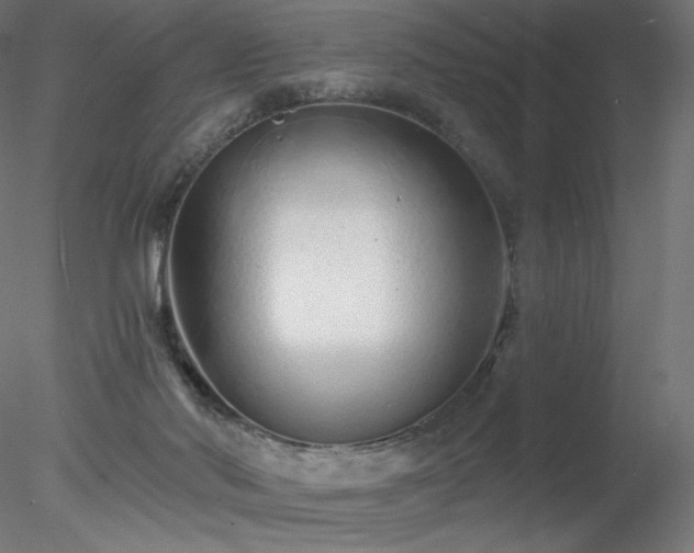 X0000078270022200611031154