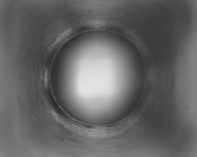 X0000078270024200611031154