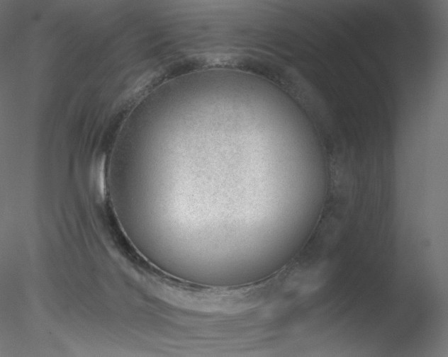 X0000078270028200611031154