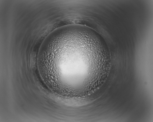 X0000078270030200611031154