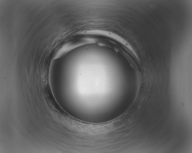 X0000078270031200611031154