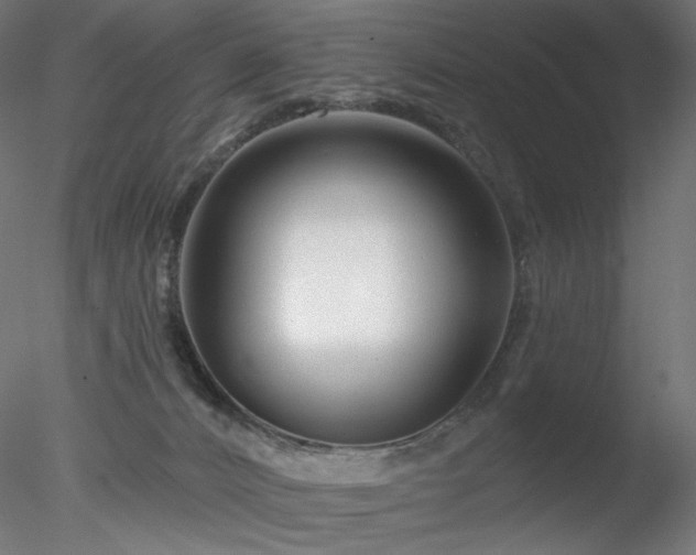 X0000078270032200611031154