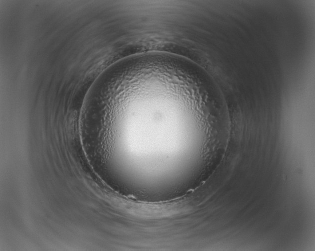 X0000078270034200611031154