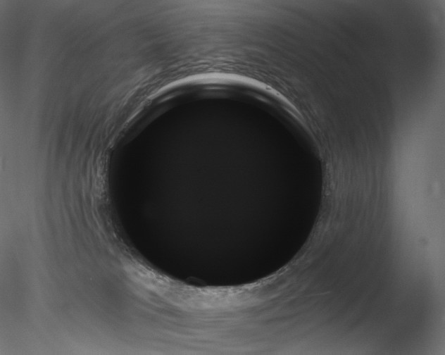 X0000078270037200611031154