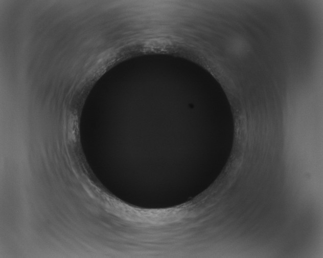 X0000078270038200611031154