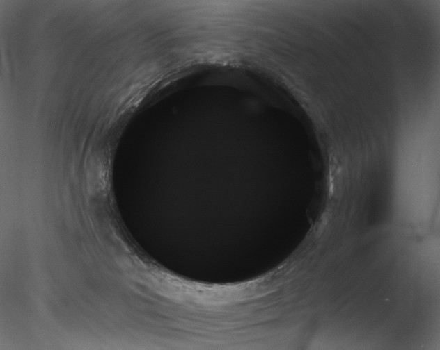 X0000078270039200611031154