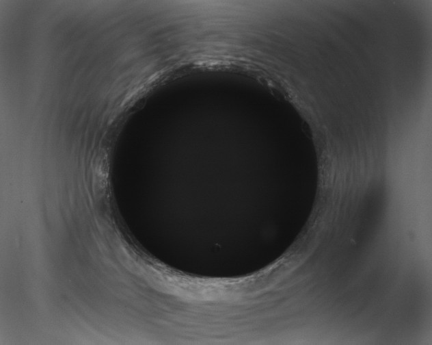 X0000078270040200611031154